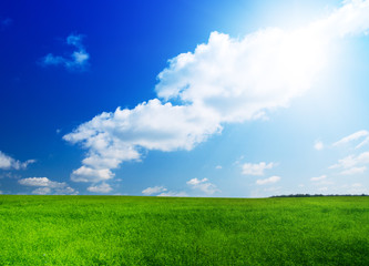 green field and blue sky