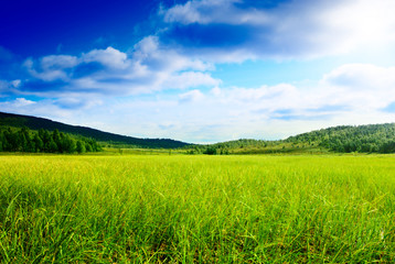 grass and north mountain