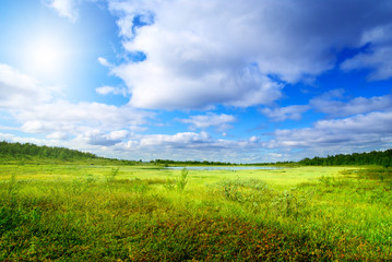 Obraz premium grass and north mountain