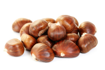 edible chestnuts