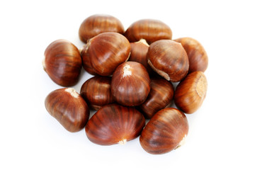 edible chestnuts
