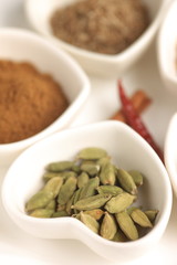 Spice