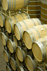 Oak wine barrels