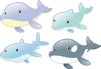 Obraz premium Ocean Fish Family: Dolphin, Shark, Whale and Killer Whale