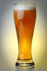 Glass of beer