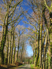 Haute-Vienne, Limousin, Périgord