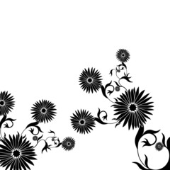 Black Abstract Floral and white Background