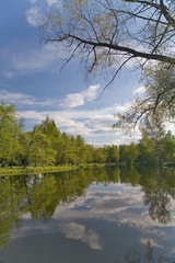 sky reflection in pond