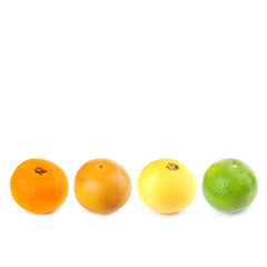 Fresh citrus: orange with red, white and green grapefruits