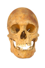 Old prehistoric human skull isolated