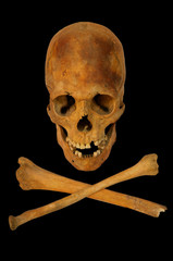 Old prehistoric human skull isolated