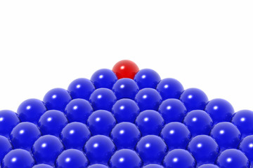 red leadership of business team