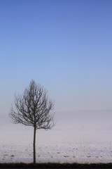Schneelandschaft im Nebel