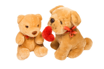little dog  and teddy bear isolated
