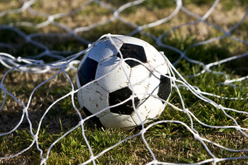 Soccer ball resting under the goal net