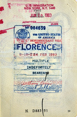 Italian passport. USA entry visa