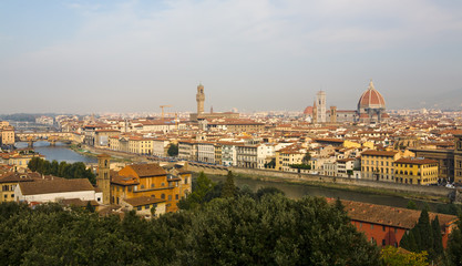 Fototapeta na wymiar Florence from Above