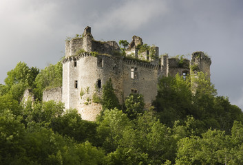 Fototapeta na wymiar Chateau Ruin