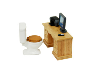 Job is down the toilet