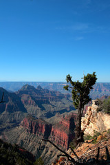 Grand Canyon National Park, USA..