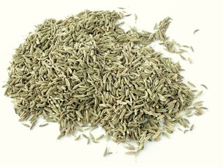seeds of fennel as herb,spice or natural medicine