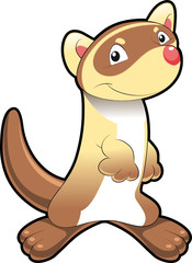 Baby Ferret