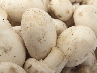 Mushrooms
