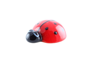 Obraz na płótnie Canvas ladybug isolated