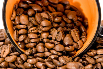 grain of coffee in a cup