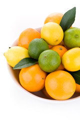 Orangen, Limetten und Zitronen in Schüssel