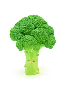 Broccoli isolated on white.
