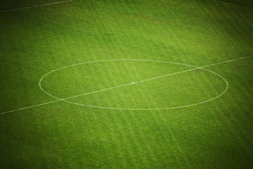 Soccer field - 11600914