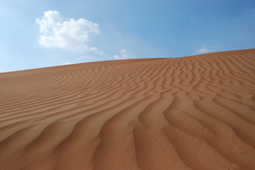 Desert Dune
