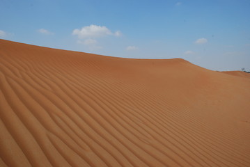Fototapeta na wymiar Desert Dune