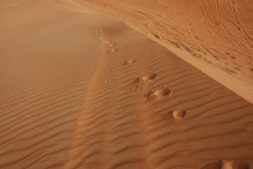 Desert Dune