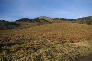 Montagne dans les Pyrénées