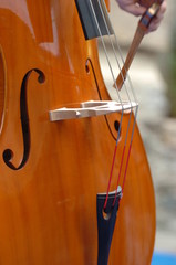 Musicien