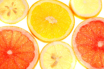 Lemon, Oranges and Grapefruit cut in Slices
