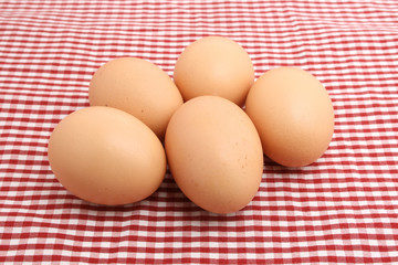 eggs