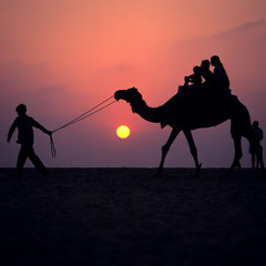 Orientalische Szene mit Dromedar