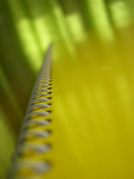 Libreta