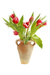 Frischer Tulpenstrauss in Vase