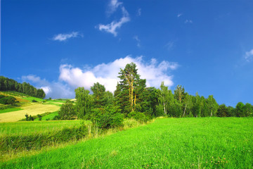 Green Spring Landscape