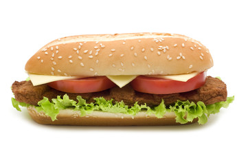 Tasty hamburger on white background