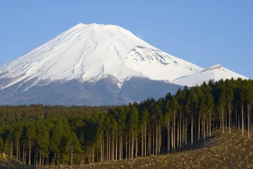 Tissu par mètre Japon Logging in Japan