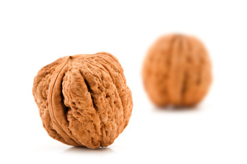 walnut