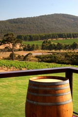 View from Winery