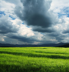 Field and storm clouds