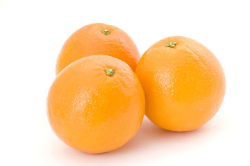 oranges
