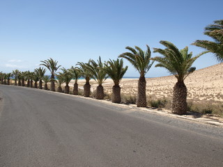 Bei Los Gorriones auf Fuerteventura